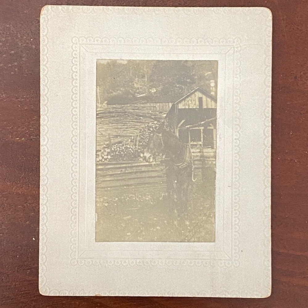 Cabinet Card Photo of a 1900s Logging Operation w Work‎ Horse likely PA or NY